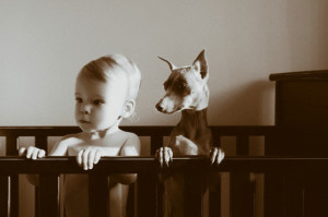 Caucasian boy standing in crib with puppy