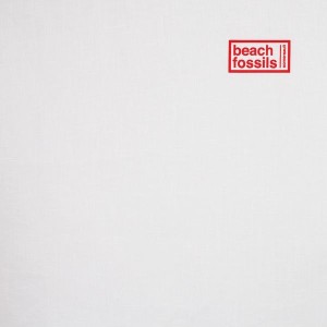 beach-fossils