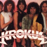 krokus3